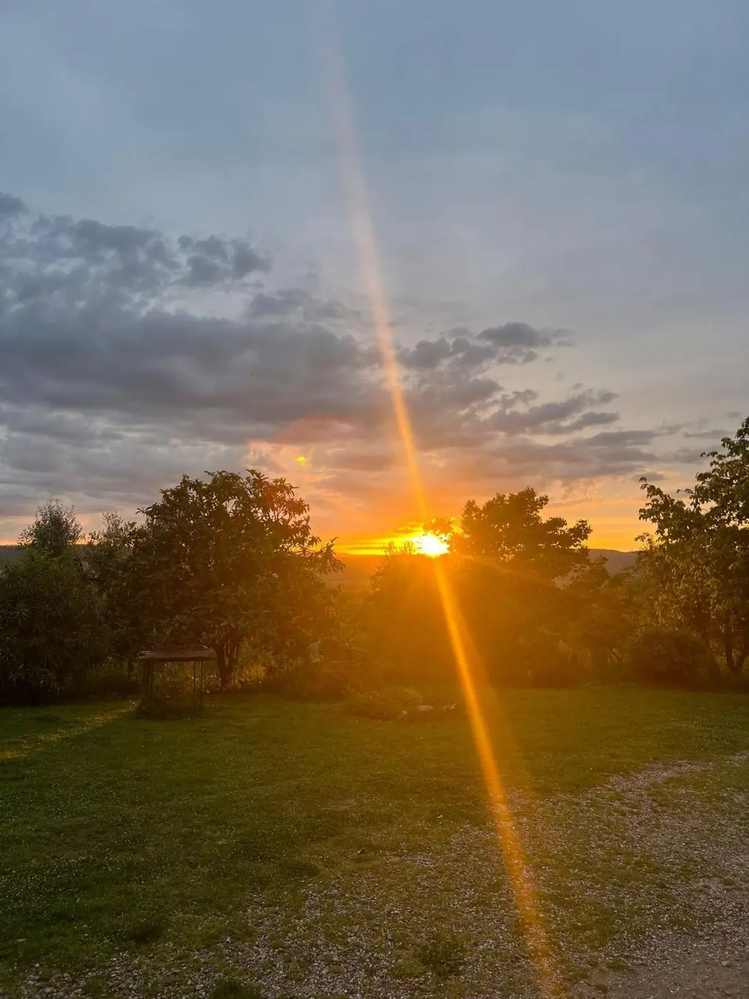 Alba sul prato di Podere Noceto