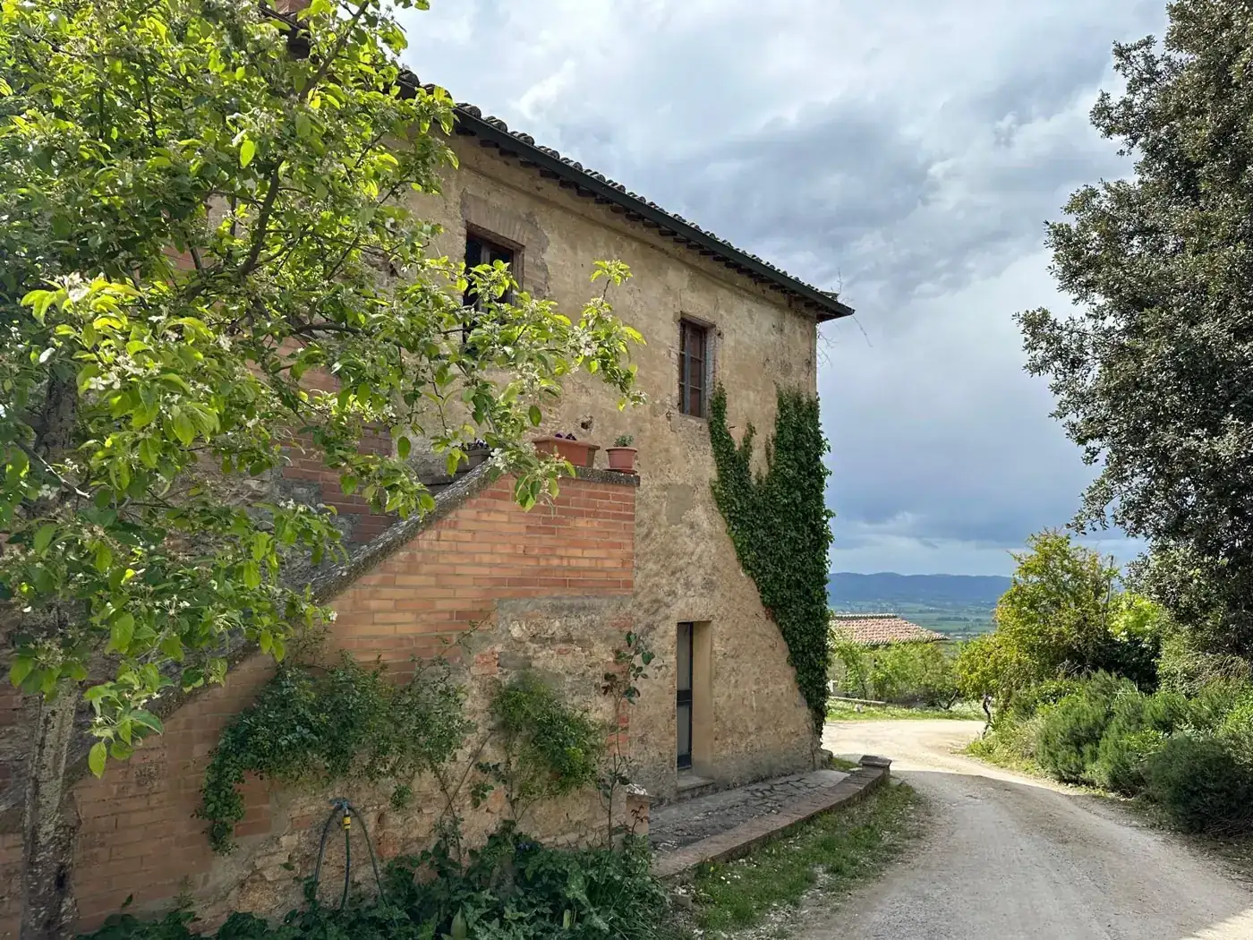 Il casale di Podere Noceto con l’edera e la strada bianca