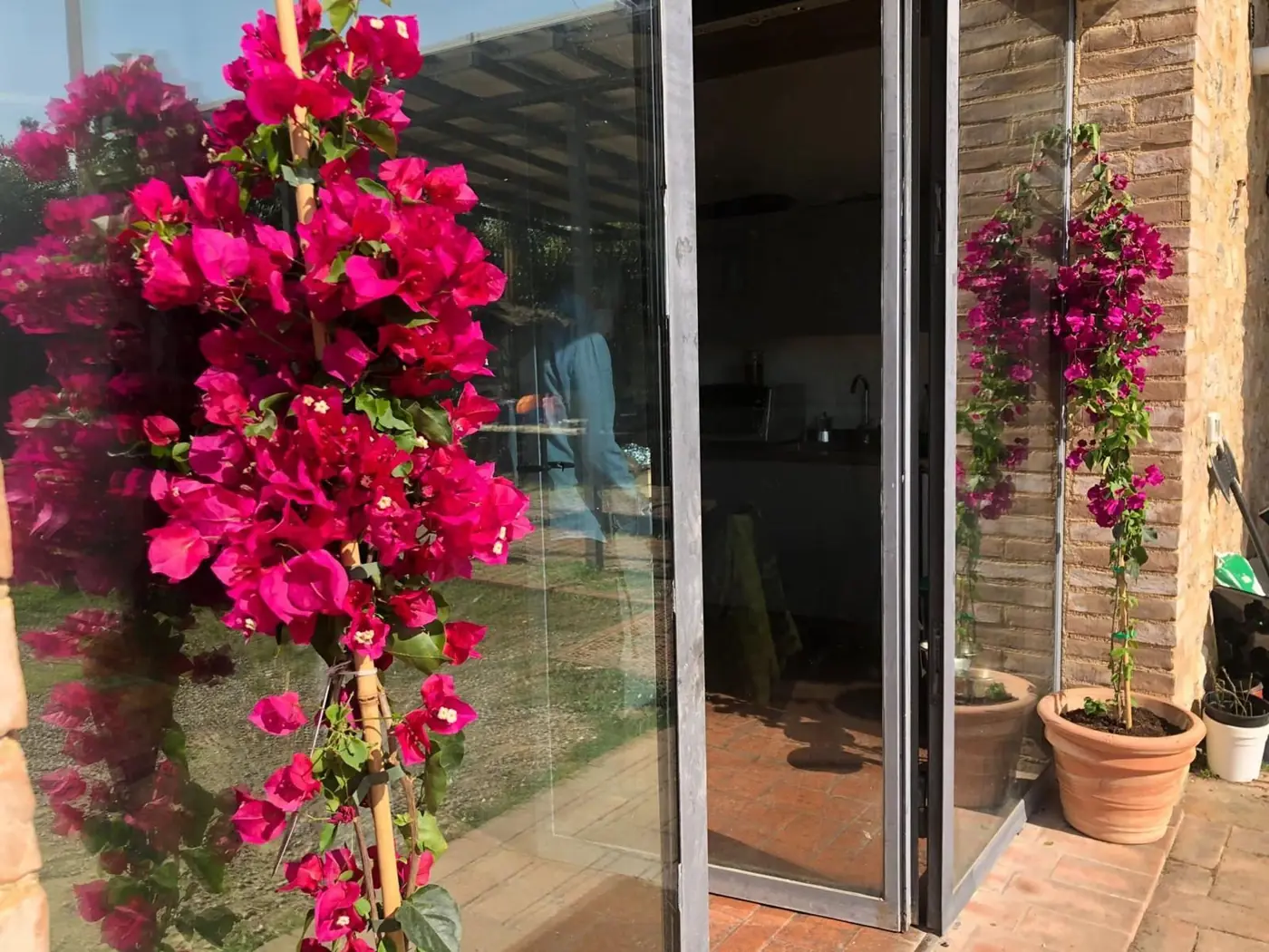 Fiori rossi accanto a una porta a vetri