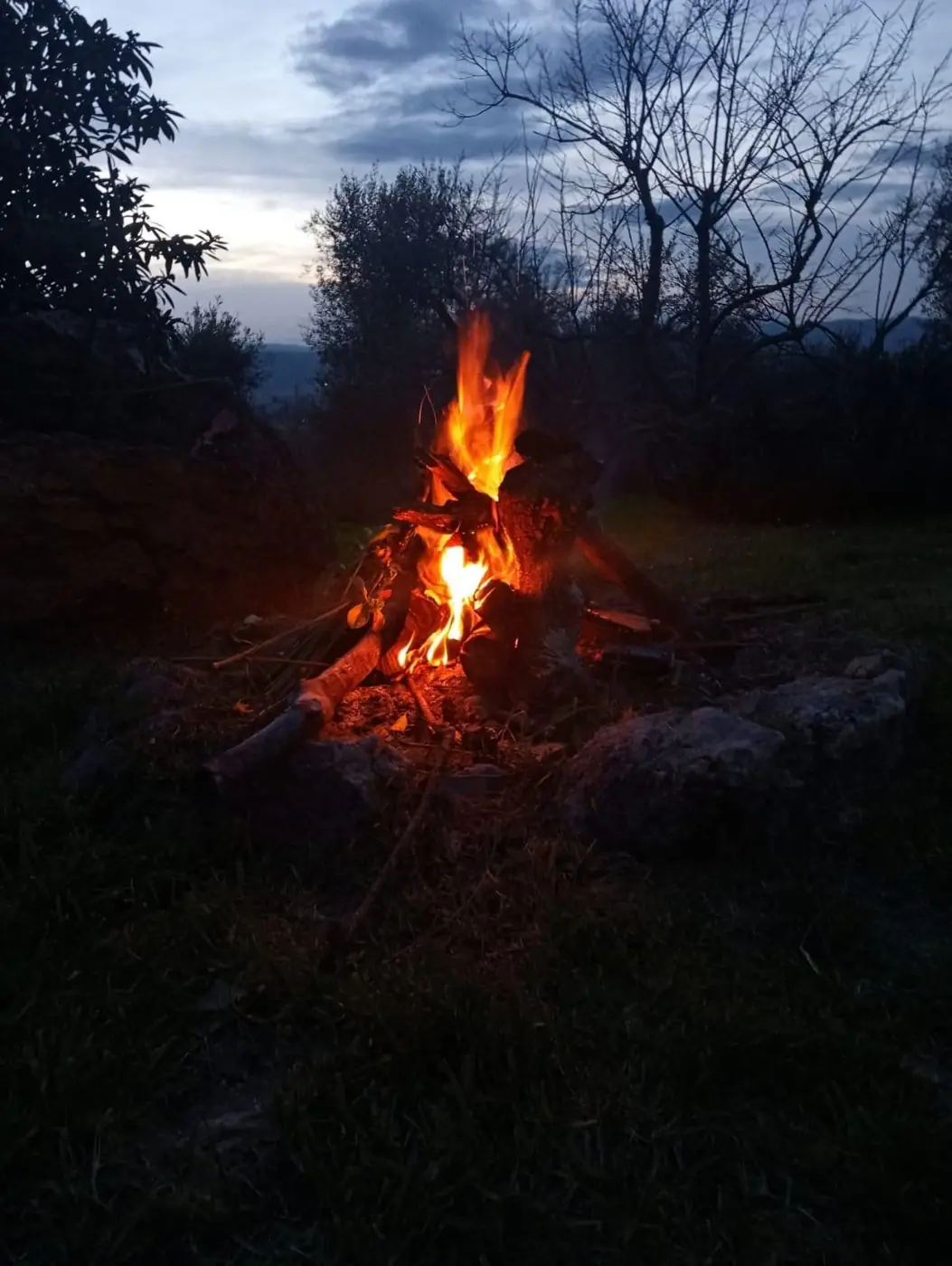 Un fuoco acceso la sera nell’uliveto